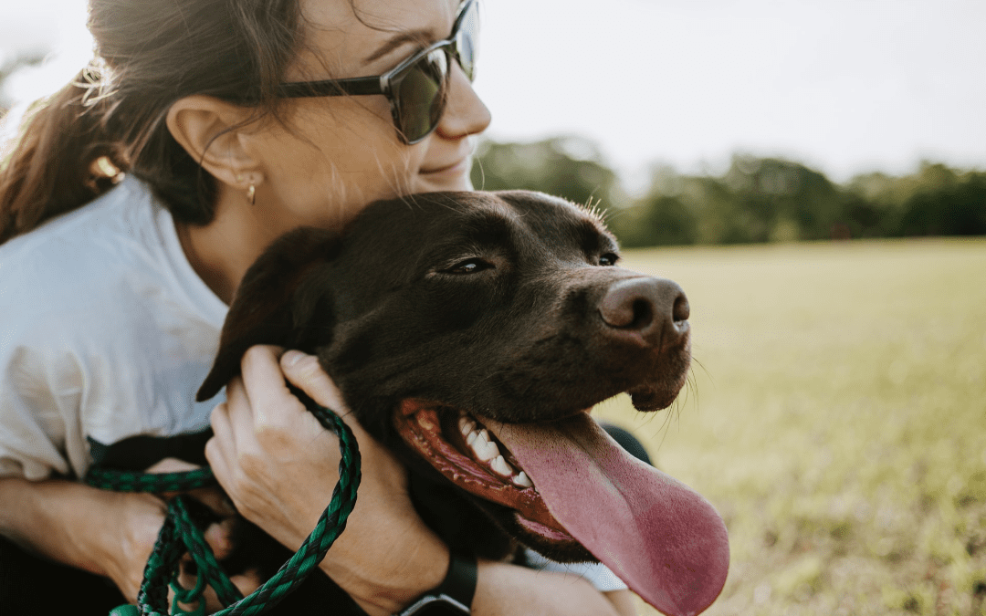 6 Tips to Become a Responsible Dog Owner