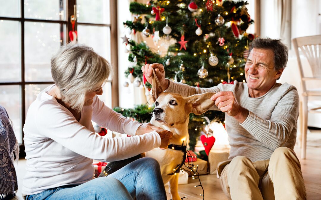 Wishing Senior Pets a Joyous Holiday Season: Guidelines for Celebrating with Happiness